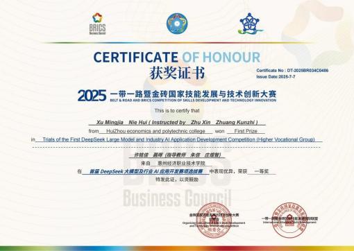 2025一带一路金砖大赛一等奖